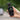 Feiyu Pocket 4 en mano, grabando un vlog en 4K